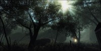 /album/galerie-photos/a13-jpg1/