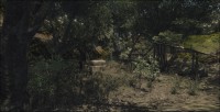 /album/galerie-photos/forest-1-jpg/