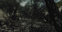 /album/galerie-photos/forest-island-jpg/