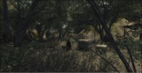 /album/galerie-photos/junglespirit-jpg/