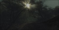 /album/galerie-photos/lost-wood-jpg/