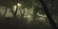 /album/galerie-photos/swamp-03-the-wood-jpg/